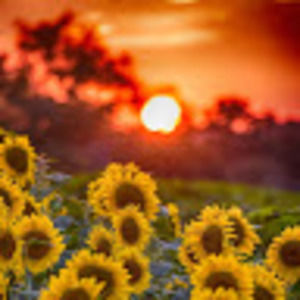 Meet your Posher, Kadie